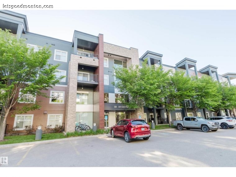 이미지 11