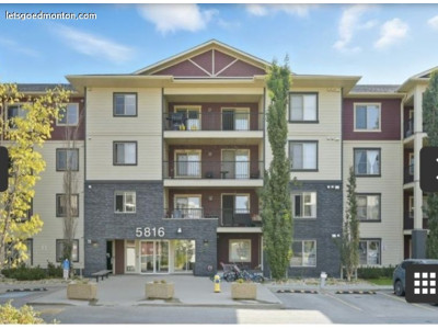 주거관련 - Mactaggart지역에 있는 2bedroom ,2bathroom 장기렌트 하실분 구합니다